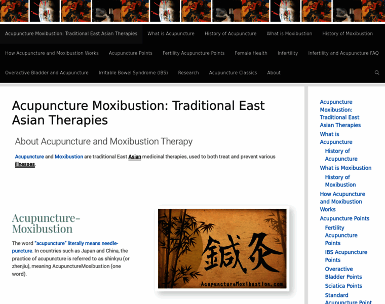 Acupuncturemoxibustion.com thumbnail
