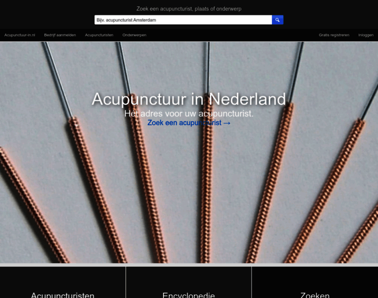 Acupunctuur-in.nl thumbnail