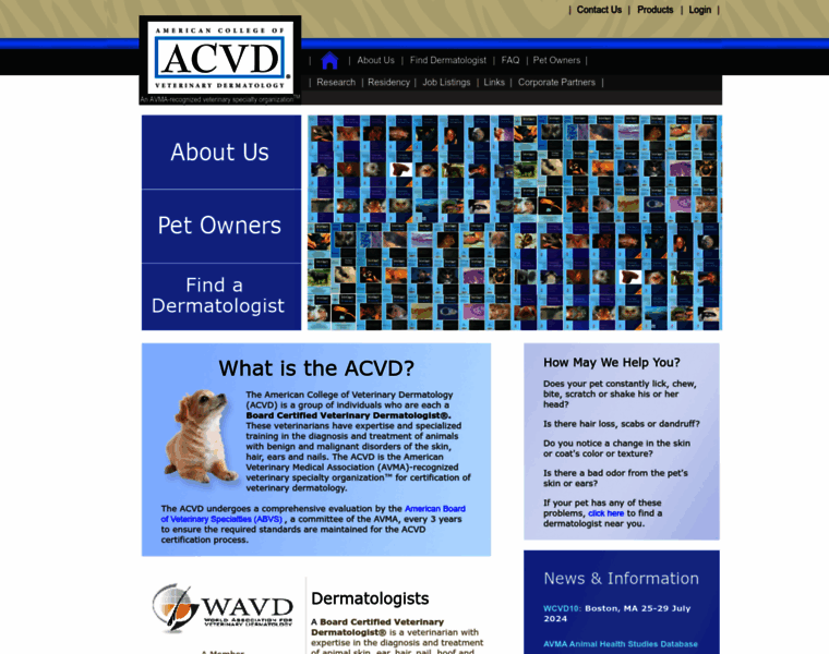 Acvd.org thumbnail