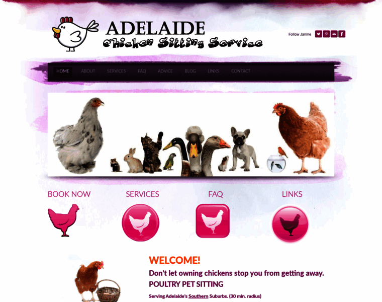 Adelaidechickensittingservice.com thumbnail
