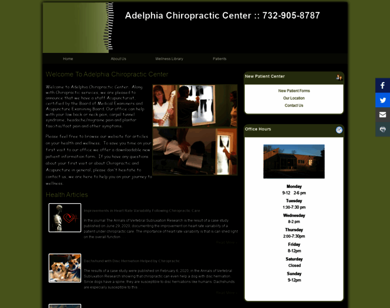 Adelphiachiropracticcenter.net thumbnail