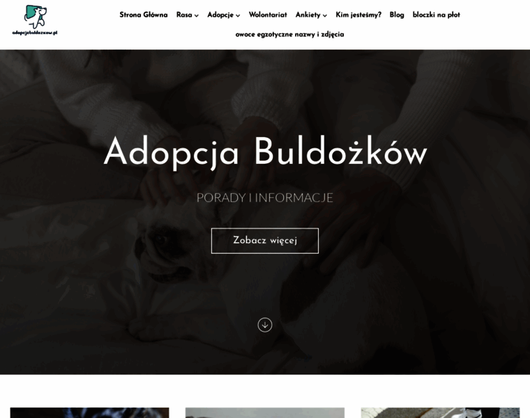 Adopcjebuldozkow.pl thumbnail
