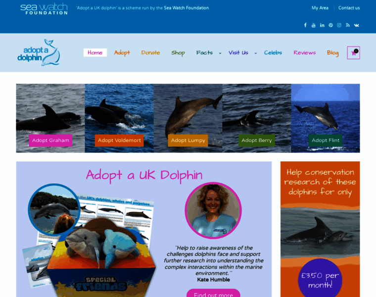 Adoptadolphin.org.uk thumbnail