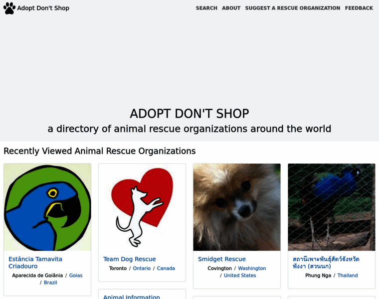 Adoptdont.shop thumbnail