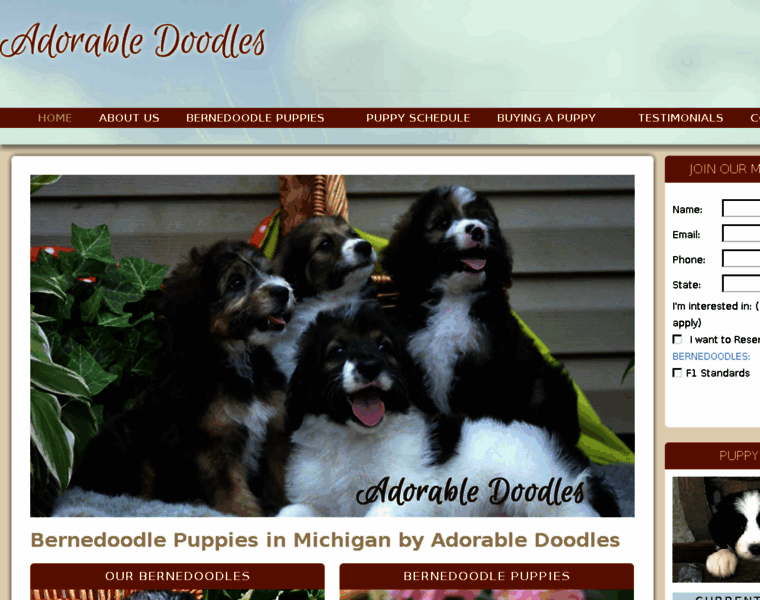 Adorabledoodles.com thumbnail