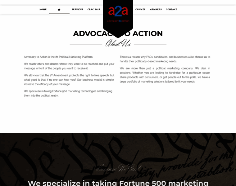 Advocacytoaction.com thumbnail
