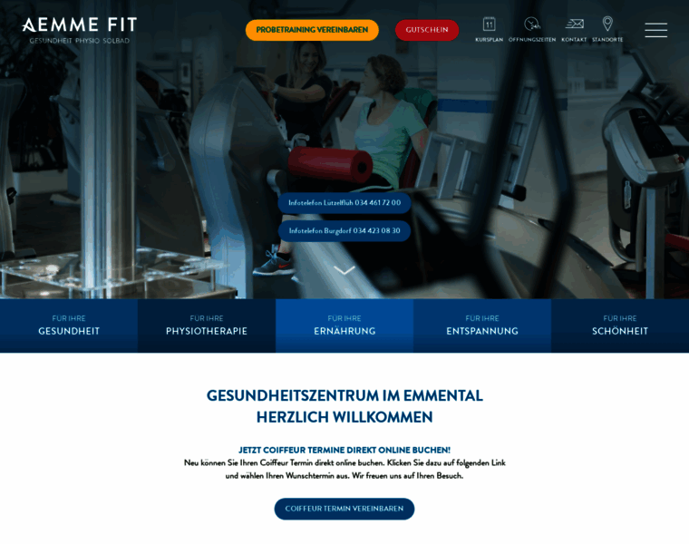 Aemmefit.ch thumbnail