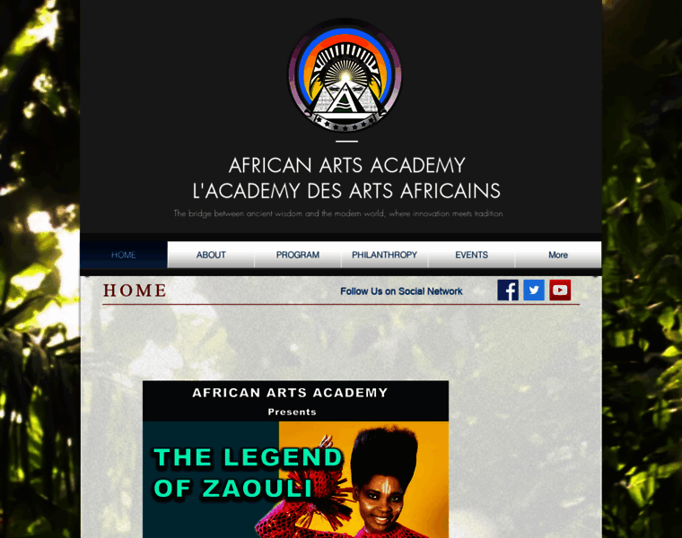 Africanartsacademy.com thumbnail