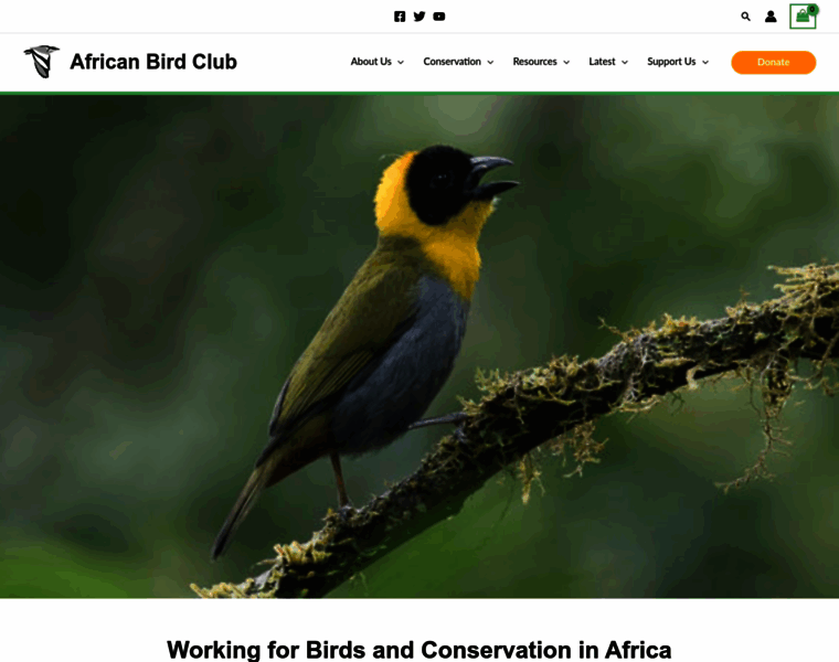 Africanbirdclub.org thumbnail