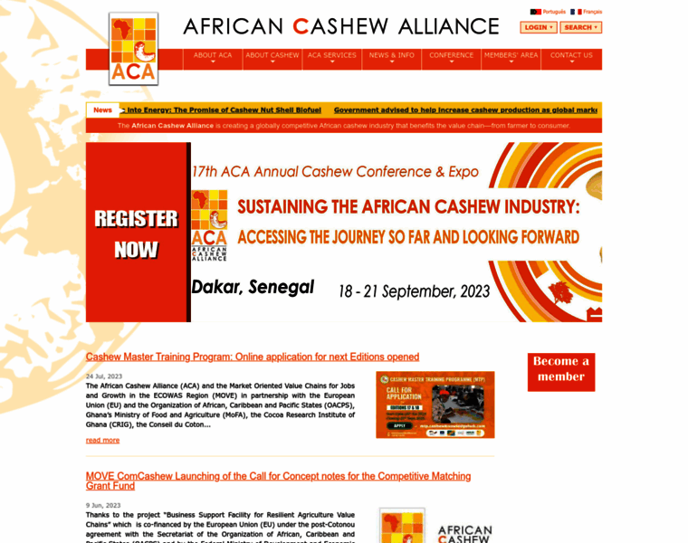 Africancashewalliance.com thumbnail