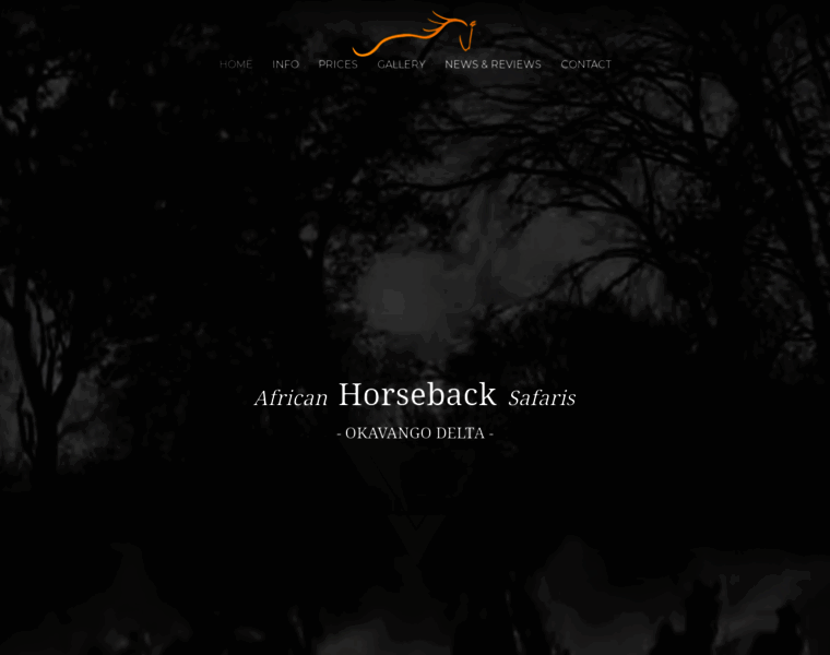 Africanhorseback.com thumbnail