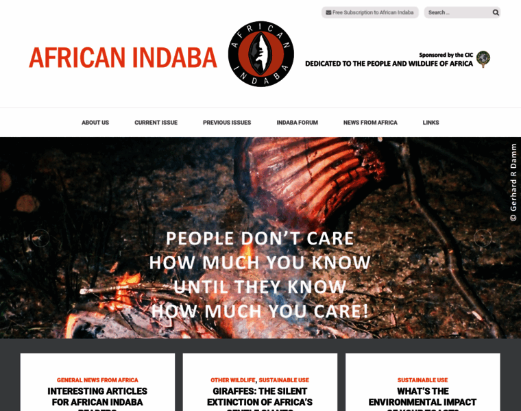 Africanindaba.com thumbnail