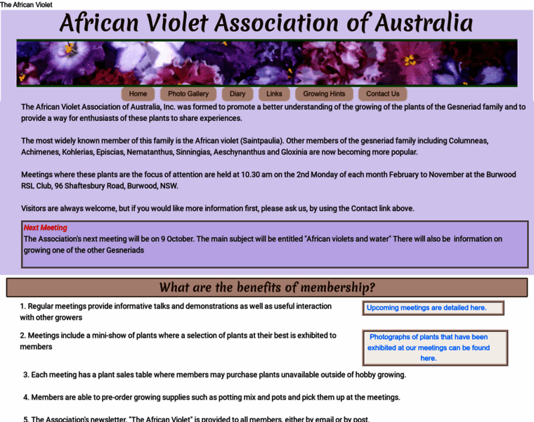 Africanviolet.org.au thumbnail