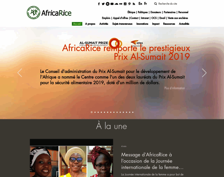 Africarice-fr.org thumbnail