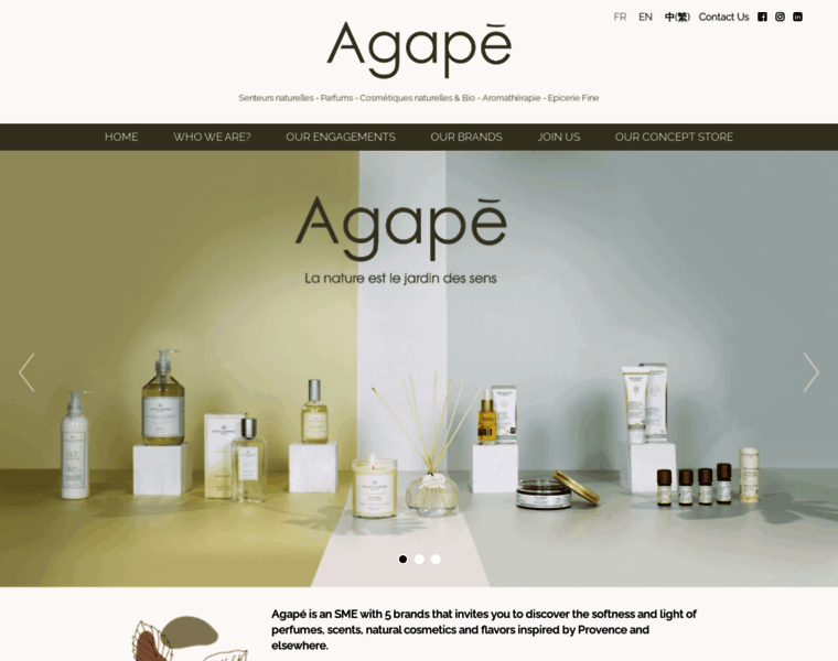 Agape-group.fr thumbnail