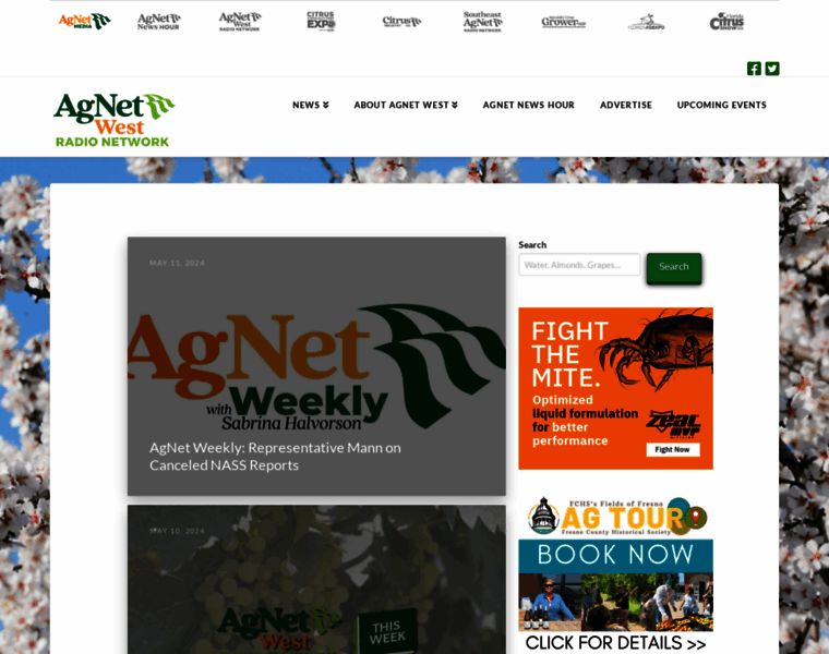 Agnetwest.com thumbnail