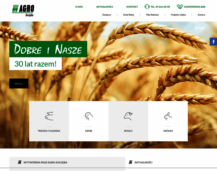 Agro-kocieba.pl thumbnail