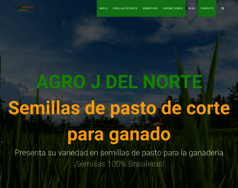 Agrojdelnorte.com thumbnail