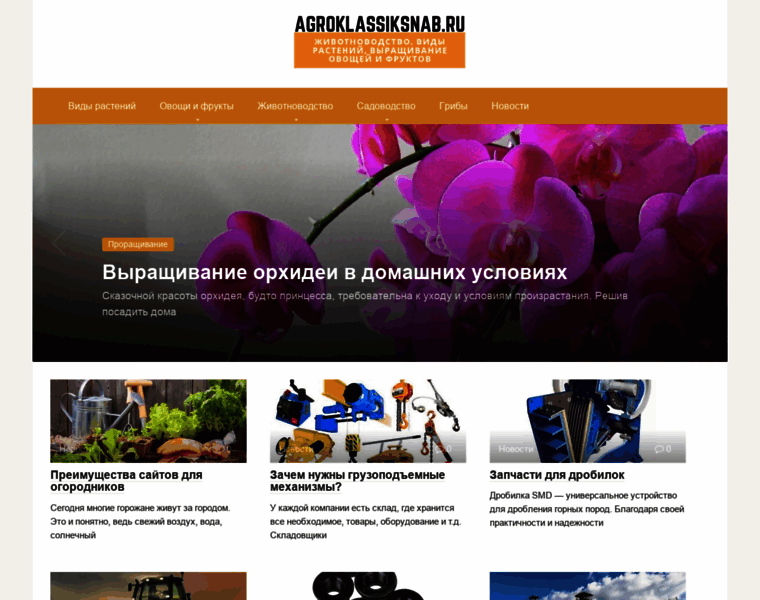 Agroklassiksnab.ru thumbnail