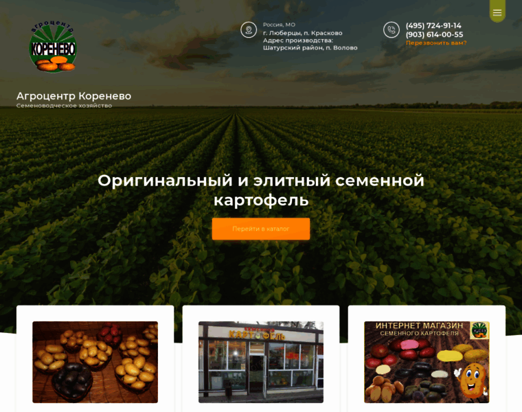 Agrokorenevo.ru thumbnail