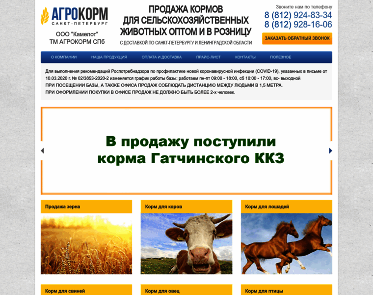 Agrokormspb.ru thumbnail