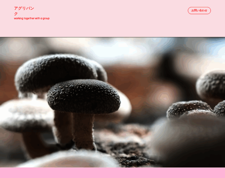 Aguribank.com thumbnail