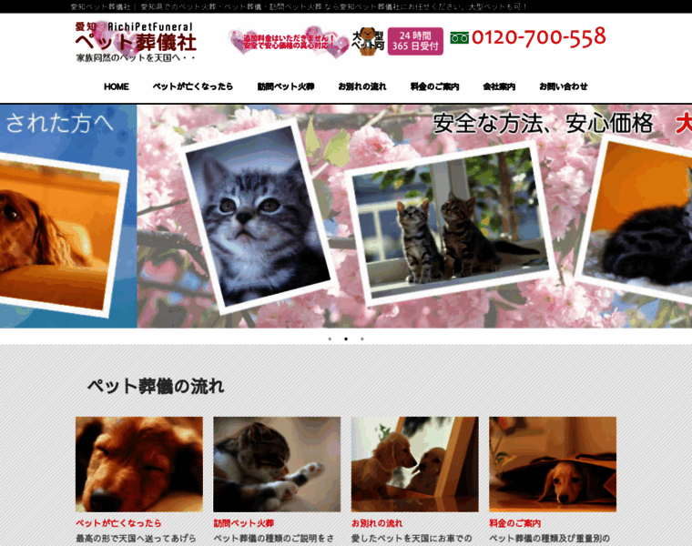 Aichipet.jp thumbnail