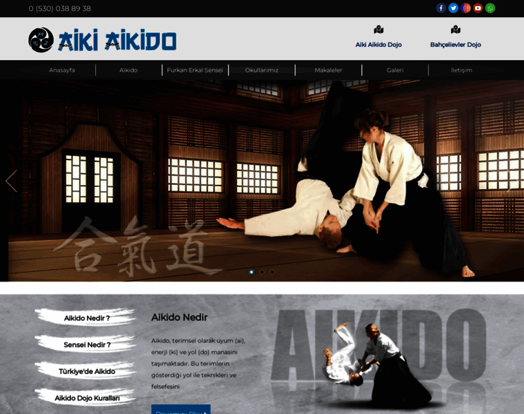 Aikiaikido.com thumbnail