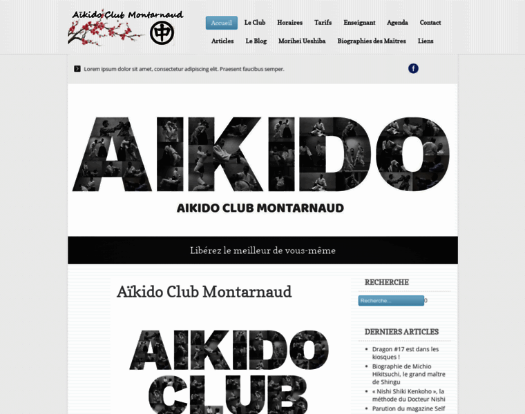 Aikido-montarnaud.fr thumbnail