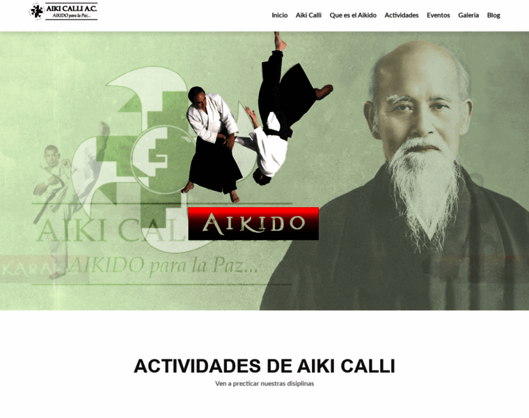 Aikido.mx thumbnail