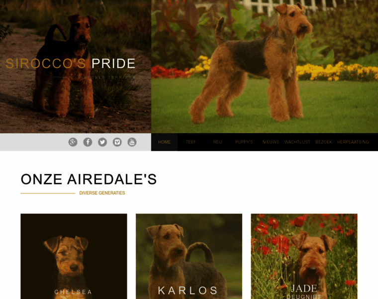 Airedale-terriers.be thumbnail