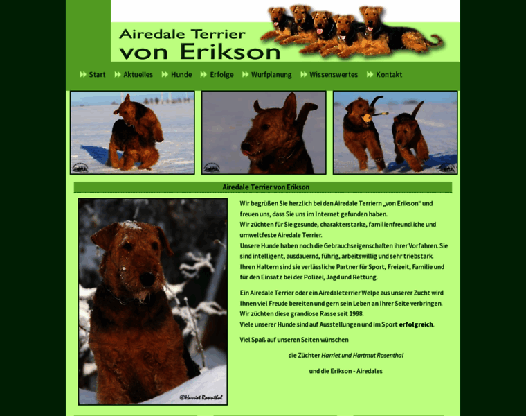 Airedaleterrier-von-erikson.de thumbnail