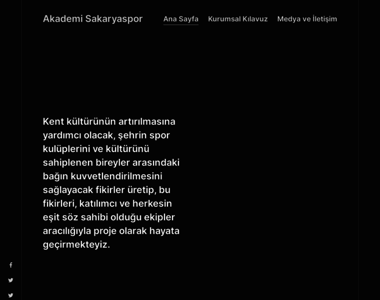 Akademisakaryaspor.com thumbnail