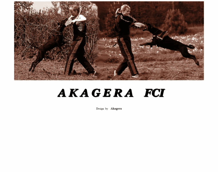 Akagera.pl thumbnail