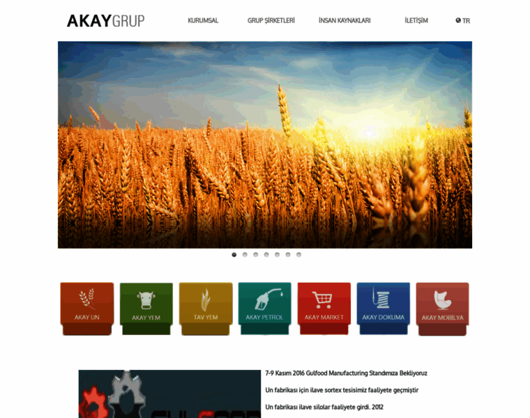 Akaygrup.com thumbnail