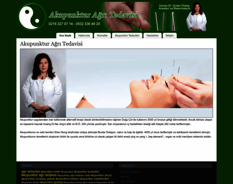 Akupunkturagritedavisi.com thumbnail