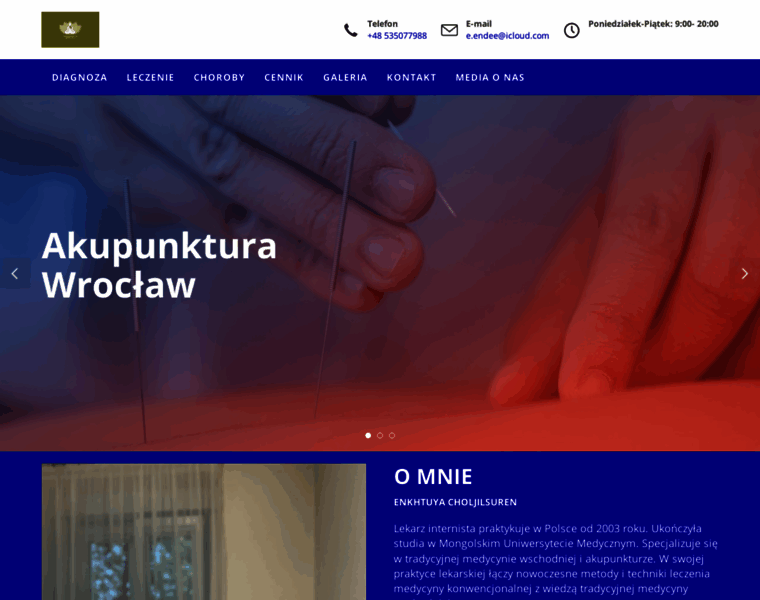Akupunkturawroclaw.pl thumbnail