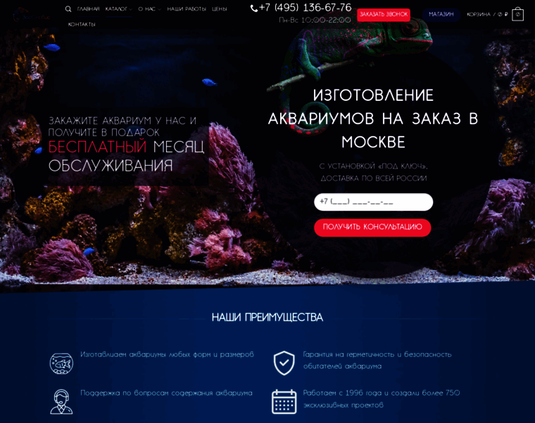 Akvariumy-na-zakaz.ru thumbnail