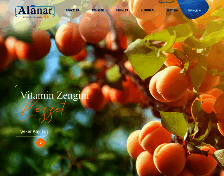 Alanarfidan.com.tr thumbnail