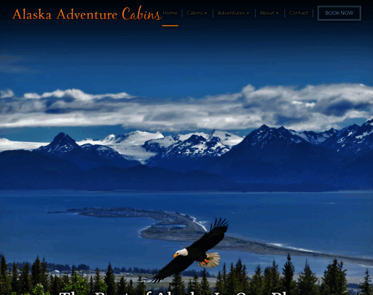 Alaskaadventurecabins.com thumbnail