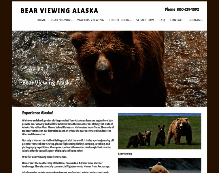 Alaskabeartours.com thumbnail