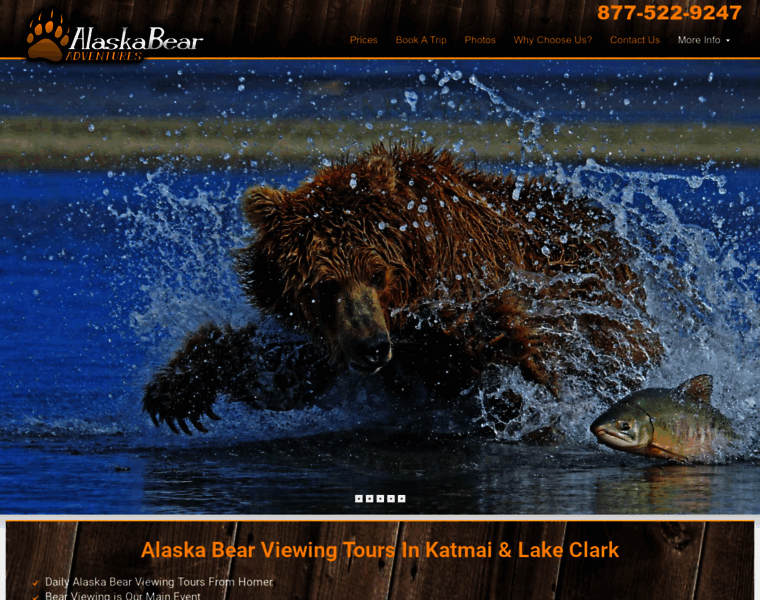 Alaskabearviewing.com thumbnail