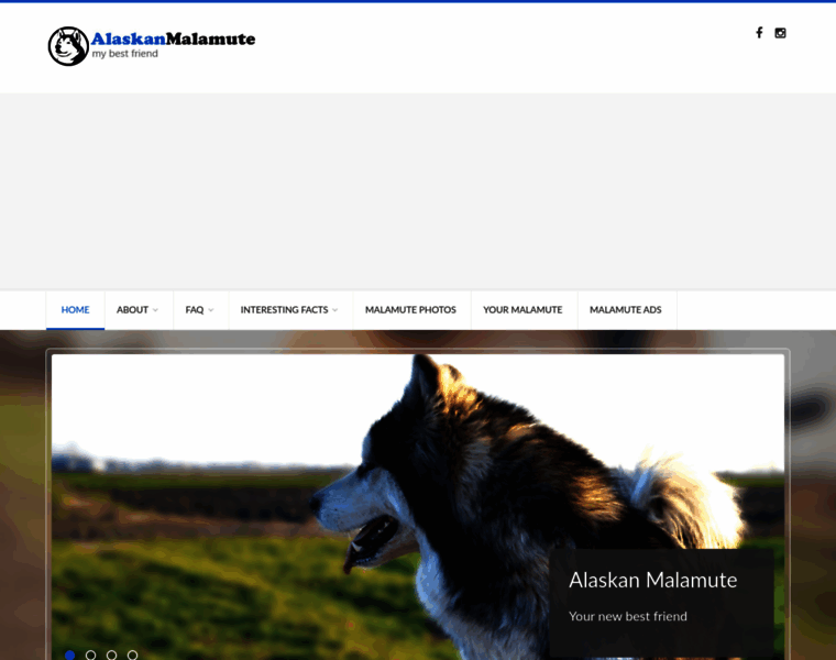 Alaskan-malamutes-info.com thumbnail