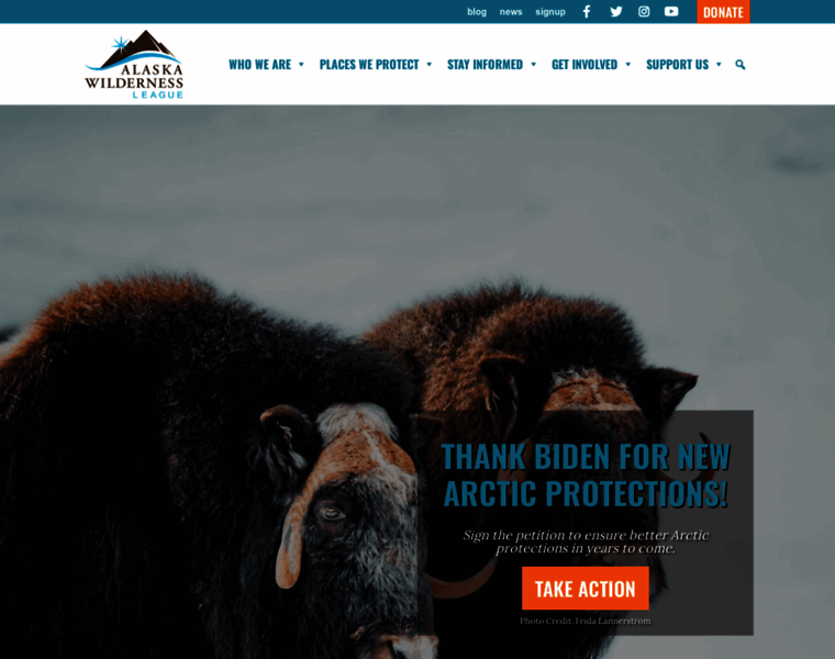 Alaskawild.org thumbnail