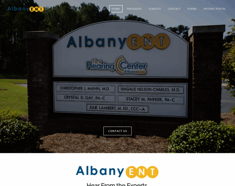 Albanyent.org thumbnail
