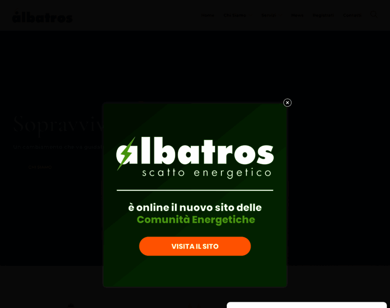 Albatroseassociati.it thumbnail