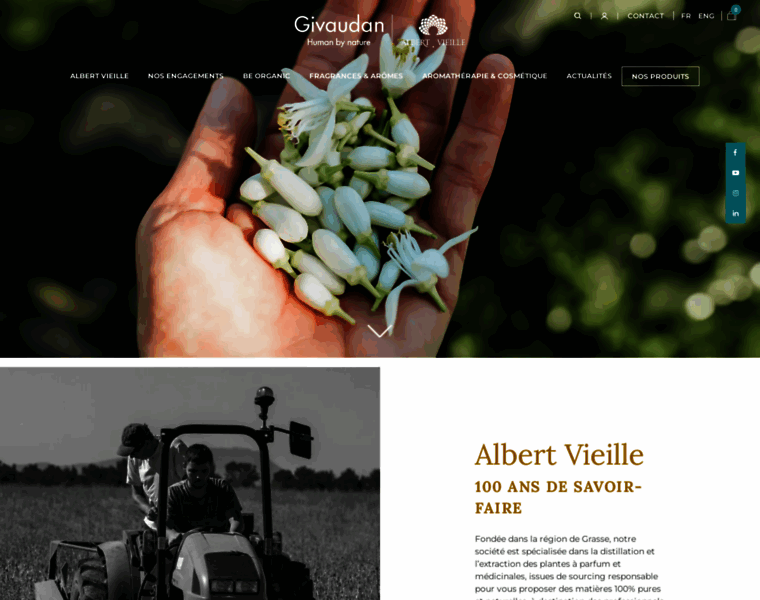 Albertvieille.com thumbnail