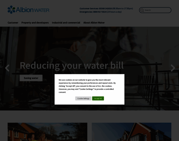 Albionwater.co.uk thumbnail