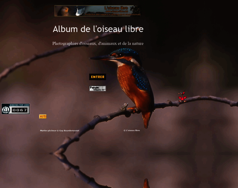 Album.oiseau-libre.net thumbnail