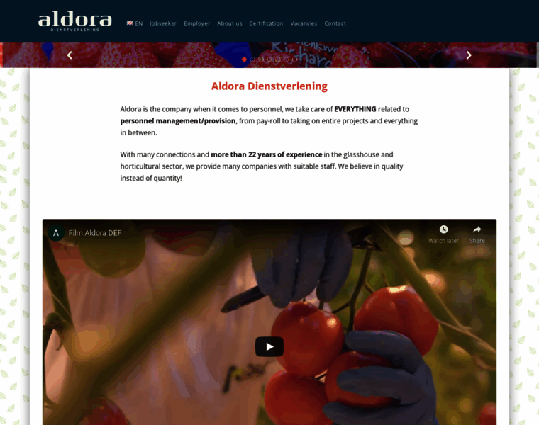 Aldora.nl thumbnail